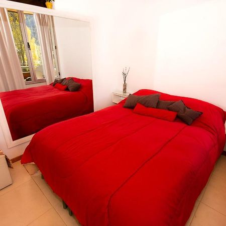 Departamento céntrico San Martín de los Andes Extérieur photo